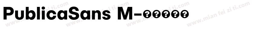 PublicaSans M字体转换